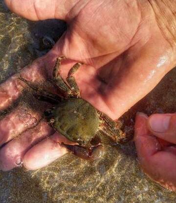 Фото Гостевой дом Rodnoe mesto Tuapse г. Туапсе 1