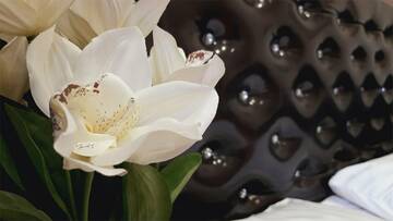 Фото номера Улучшенный стандарт Гостиница Звездный г. Туапсе 3