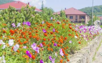 Фото номера Номер &quot;Стандарт&quot; Гостиница Sadko Hotel г. Туапсе 12